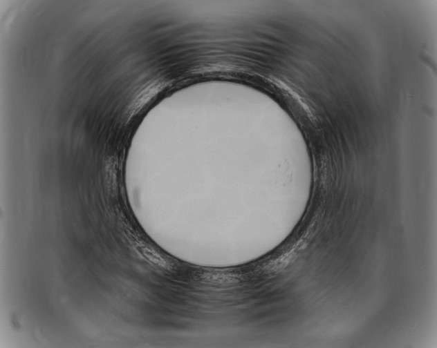 X0000096460921200802211122