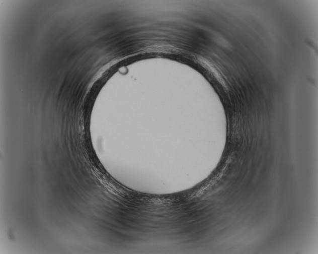 X0000096460923200802211122