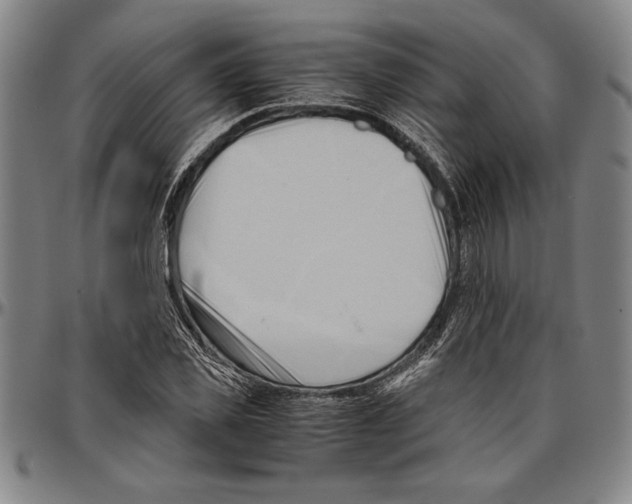 X0000096460925200802211122