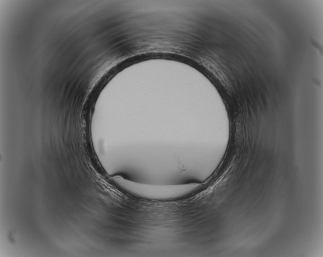 X0000096460926200802211122