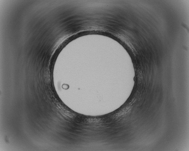 X0000096460927200802211122