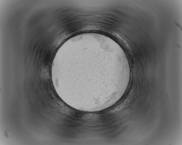 X0000096460929200802211122