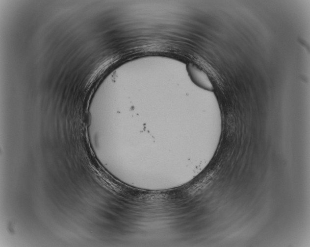 X0000096460930200802211122