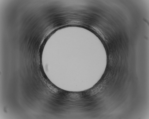 X0000096460931200802211122