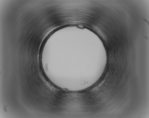 X0000096460932200802211122