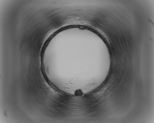 X0000096460935200802211122