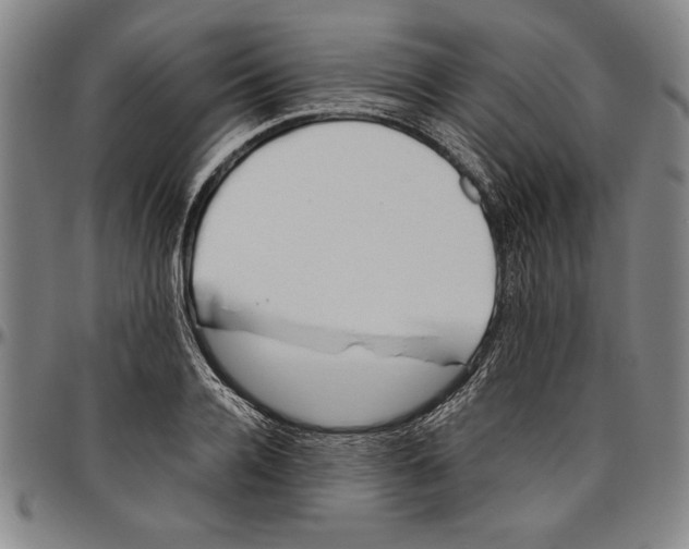 X0000096460936200802211122