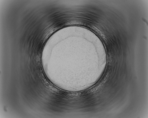 X0000096460937200802211122
