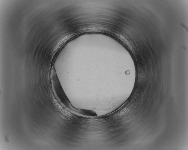 X0000096460938200802211122