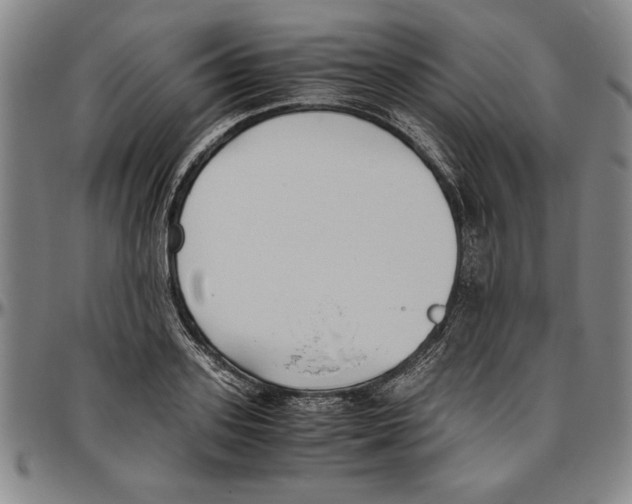 X0000096460939200802211122