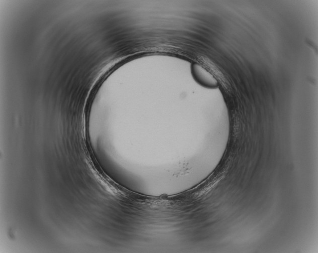 X0000096460940200802211122