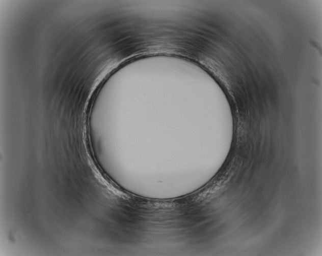 X0000096460941200802211122