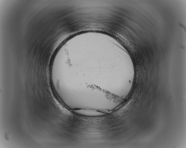 X0000096460942200802211122