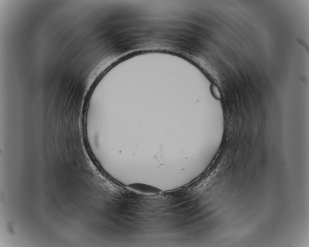 X0000096460943200802211122