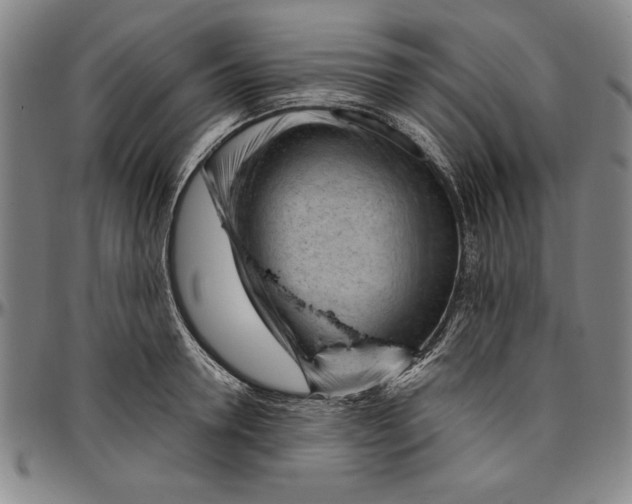 X0000096460946200802211122
