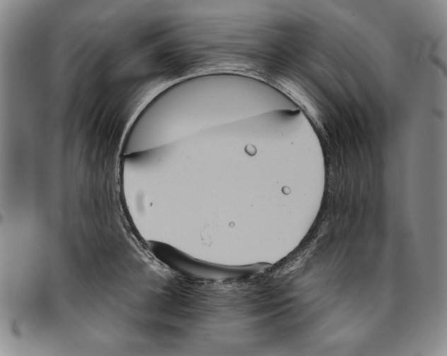 X0000096460948200802211122