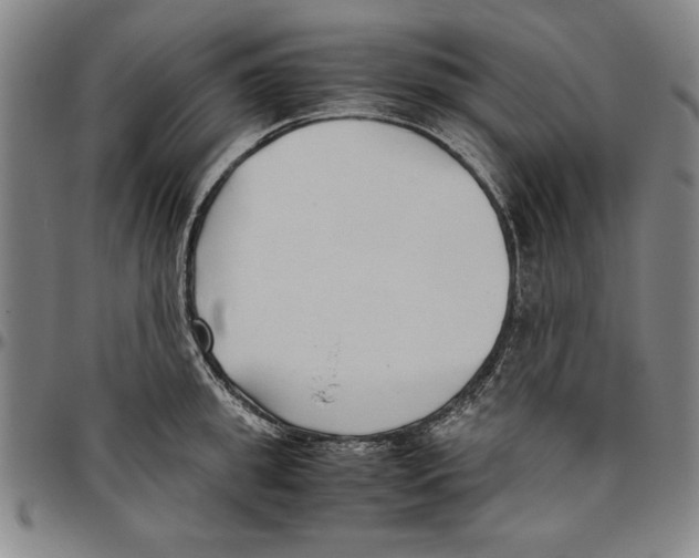 X0000096460949200802211122