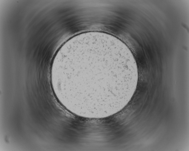 X0000096460950200802211122