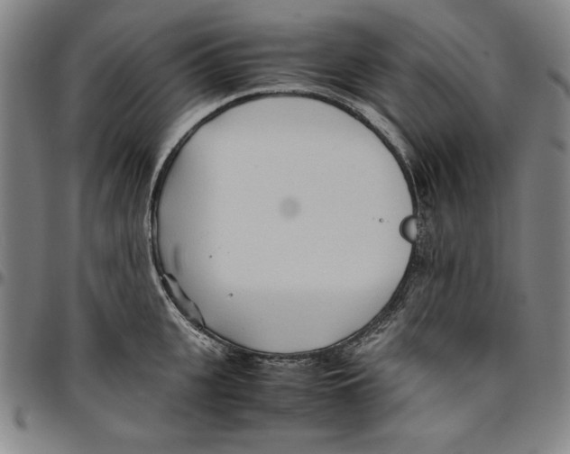 X0000096460951200802211122