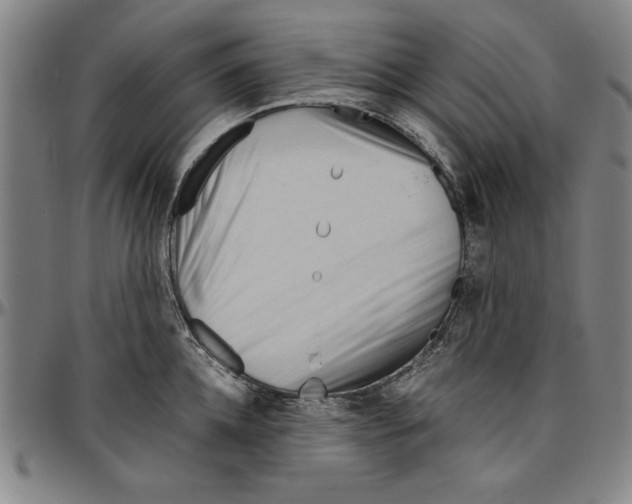 X0000096460952200802211122