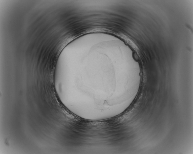 X0000096460953200802211122