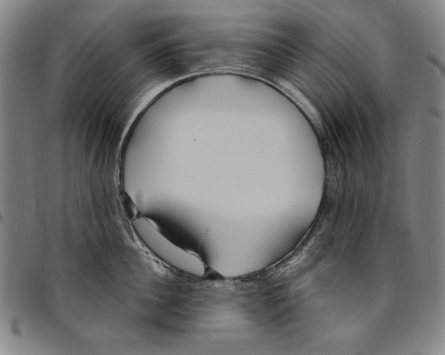 X0000096460956200802211122