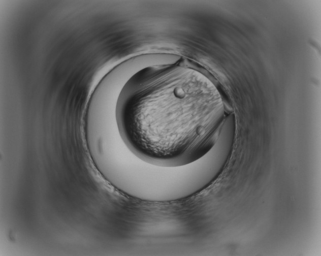 X0000096460960200802211122