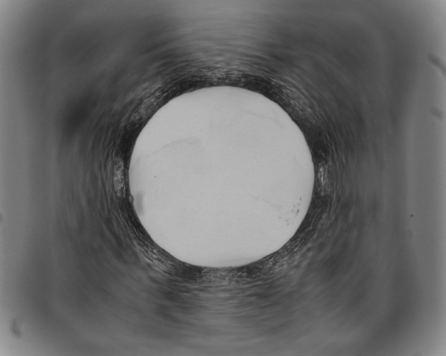 X0000096460963200802211122