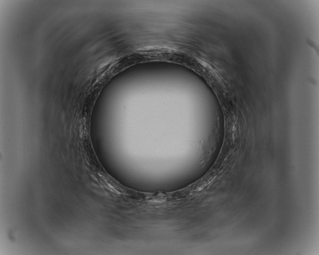 X0000096460965200802211121