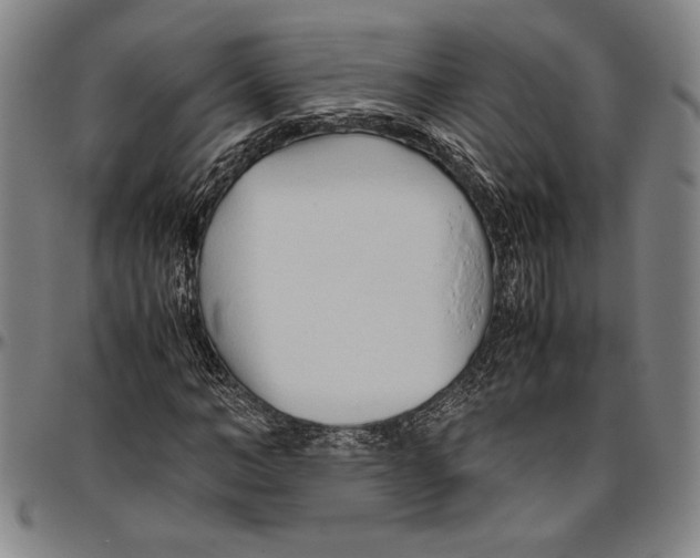 X0000096460966200802211121
