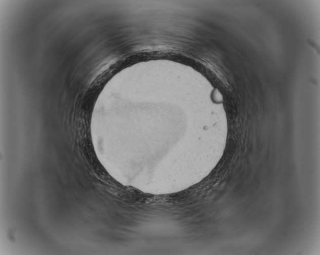 X0000096460967200802211121