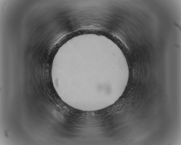 X0000096460968200802211121