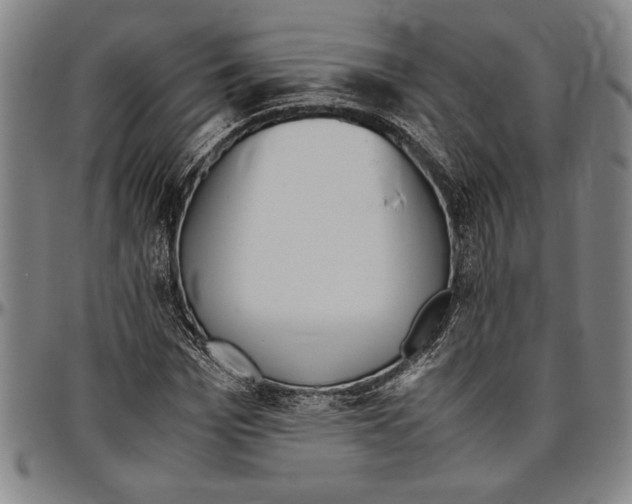 X0000096460969200802211121
