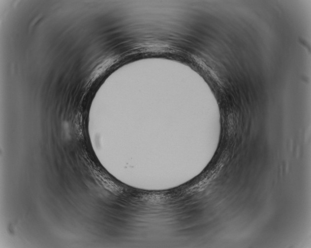X0000096460970200802211121