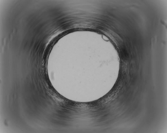 X0000096460971200802211121
