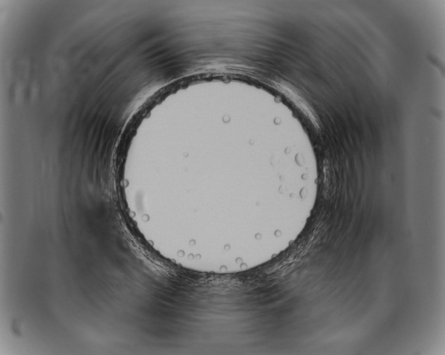 X0000096460972200802211121
