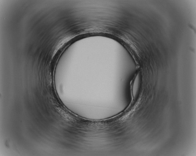 X0000096460973200802211121