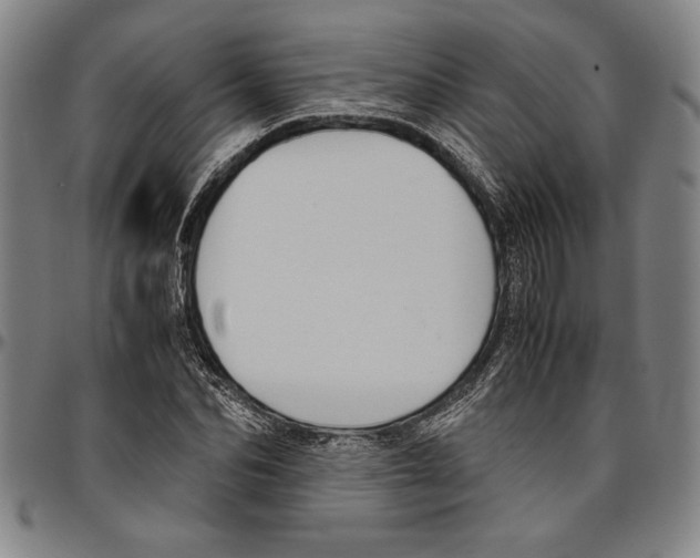 X0000096460974200802211121