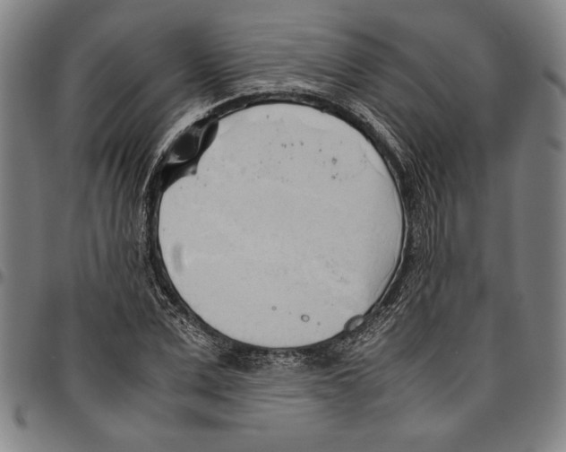 X0000096460975200802211121
