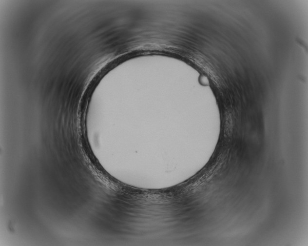 X0000096460976200802211121