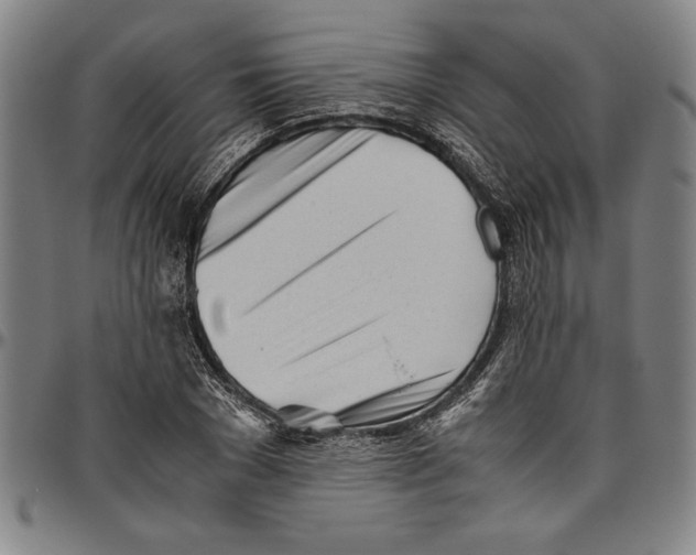 X0000096460977200802211121