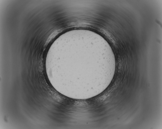 X0000096460978200802211121