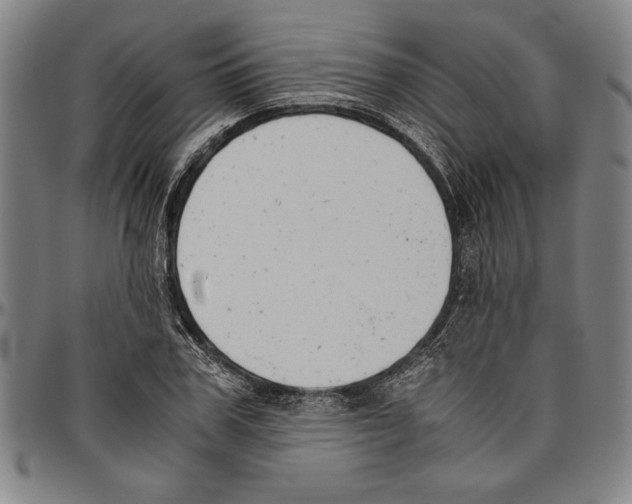 X0000096460979200802211121