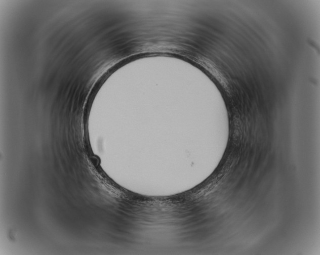 X0000096460980200802211121