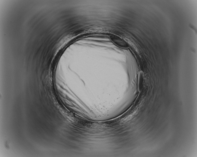 X0000096460981200802211121