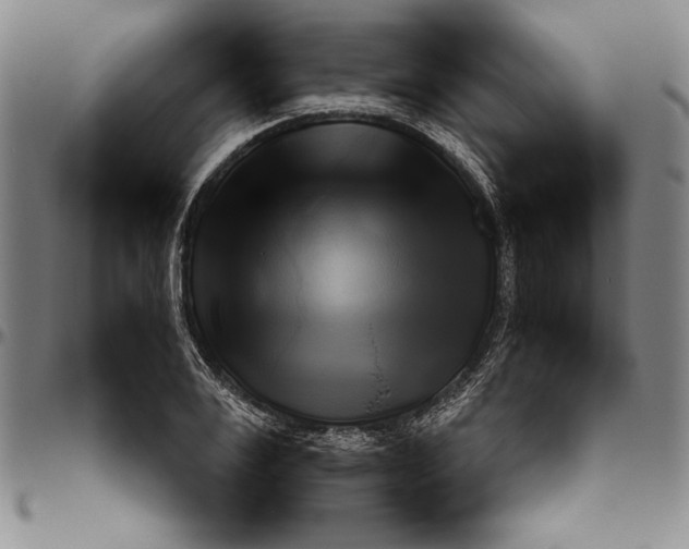 X0000096460983200802211121