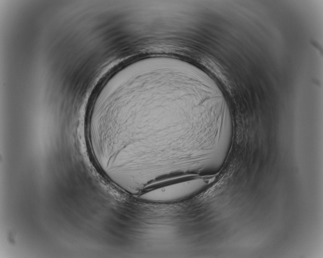 X0000096460984200802211121