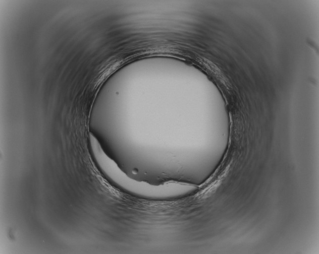 X0000096460985200802211121