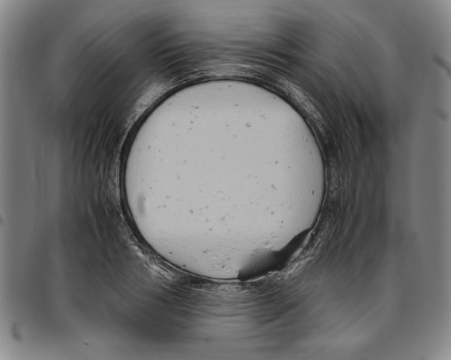 X0000096460986200802211121