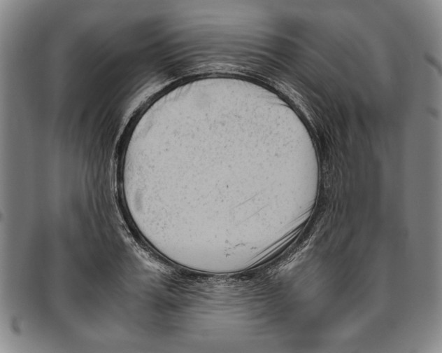 X0000096460987200802211121